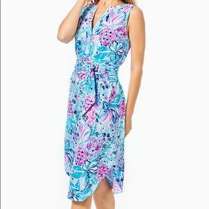 New With Tags Lilly Pulitzer Naila Midi Dress in Paradise Princess Size Medium